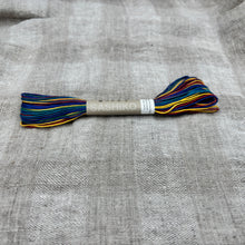Load image into Gallery viewer, Variegated Sashiko Thread
